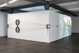 Vibe Overgaard